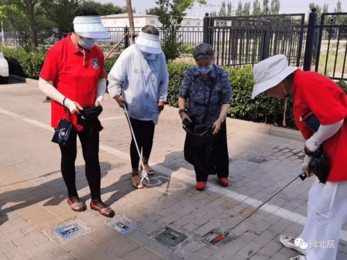 扎根基層辦實事 北辰區常態化推進文明城區建設志愿服務活動