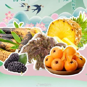 全國優質農產品推薦地圖 探尋鄉土本味