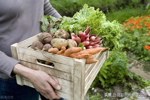 中國農產品 機遇與未來潛力共舞